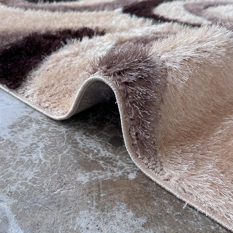 Shaggy Beige Transitive Area Carpet