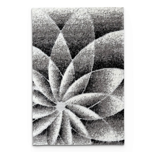 Shaggy Lumuff Grey Carpet